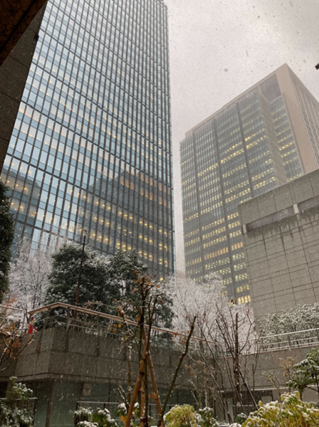 ITS健保に加入しました☆